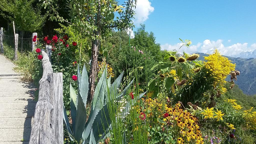 Agriturismo Zertin Gravedona Kültér fotó