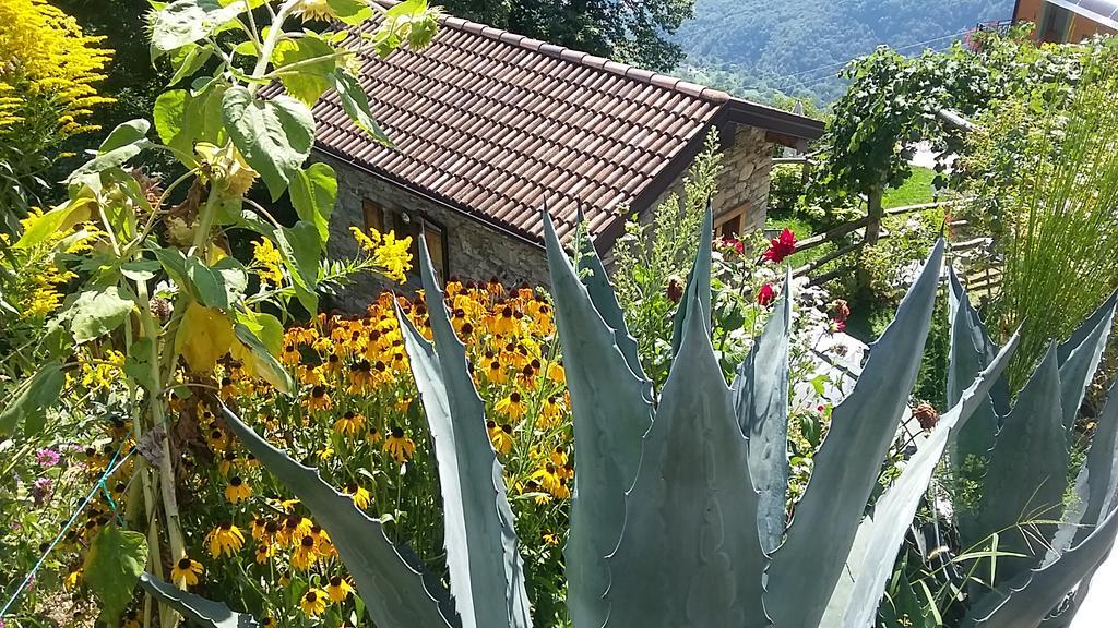 Agriturismo Zertin Gravedona Kültér fotó